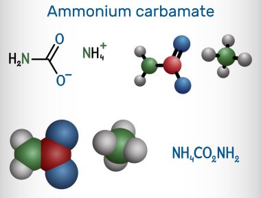 Ammonium carbamate molecule. It is organic compound consisting of ammonium and carbamate. Structural chemical formula and molecule model. Vector illustration