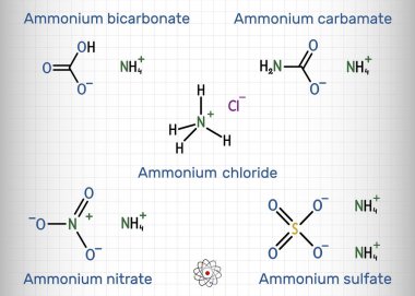 Ammonium salts: ammonium bicarbonate, ammonium carbamate, ammonium sulfate, ammonium nitrate, ammonium chloride molecule. Skeletal chemical formula. Sheet of paper in a cage. Vector illustration