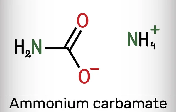 Ammonium Carbamate Molecule Organic Compound Consisting Ammonium Carbamate Skeletal Chemical —  Vetores de Stock