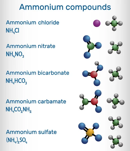 Ammonium Compounds Ammonium Bicarbonate Ammonium Carbamate Ammonium Sulfate Ammonium Nitrate — Vector de stock