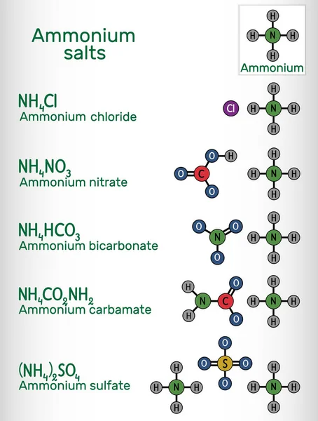 Ammonium Salts Ammonium Bicarbonate Ammonium Carbamate Ammonium Sulfate Ammonium Nitrate — Vector de stock