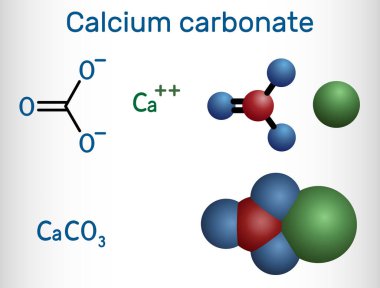 Calcium carbonate molecule. It is an ionic compound, the carbonic salt of calcium CaCO3, calcium salt, Food additive E170. Structural chemical formula and molecule model. Vector illustration