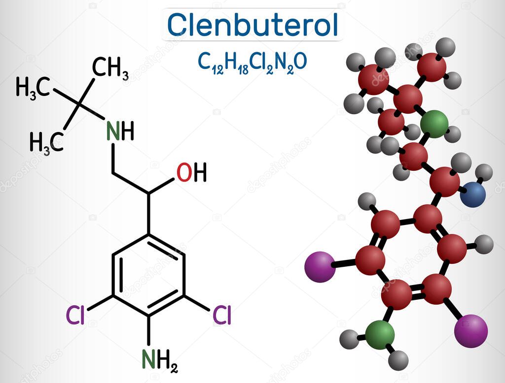 Clenbuterol molecule. It is sympathomimetic amine, decongestant and bronchodilator, used in respiratory conditions, in asthma. Structural chemical formula, molecule model. Vector illustration