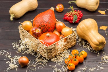 Hasır sepette balkabağı ve soğan. Masada bir dal sarı domates, viburnum ve balkabağı var. Ahşap arkaplan