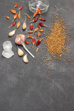 Kişniş tohumları. Kuru kırmızı biber ve bir baş sarımsak. Uzayı kopyala Siyah arka plan. Düz yatıyordu