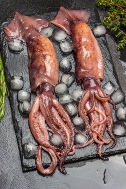 Taş tahtada mürekkep balığı ve buz. Üst Manzara. Siyah arkaplan