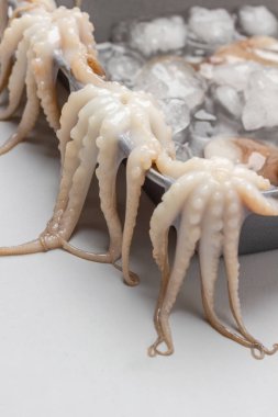 Bebek ahtapot dokunaçları pişirme çarşafından sarkıyor. Üst Manzara. Gri arkaplan.