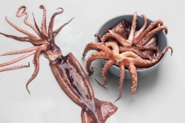 Kasede dokunaçları olan ve gri tabakta taze mürekkep balığı. Düz yatıyordu. Gri arkaplan.