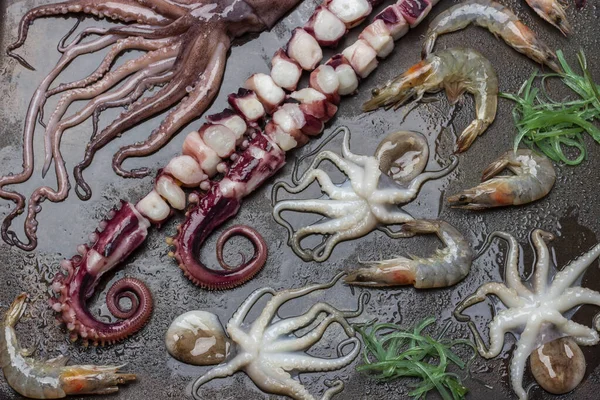 Octopus tentacles, baby octopuses, shrimp and seaweed on wet rusty metal surface. Flat lay.