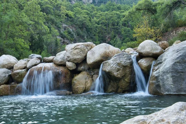 Σχολικό Εθνικό Πάρκο Της Ορεινής Λίμνης Ρίτσας Στην Αμπχαζία — Φωτογραφία Αρχείου