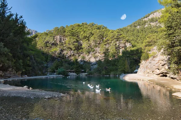 Relict Parque Nacional Lago Montanha Ritsa Abcásia — Fotografia de Stock
