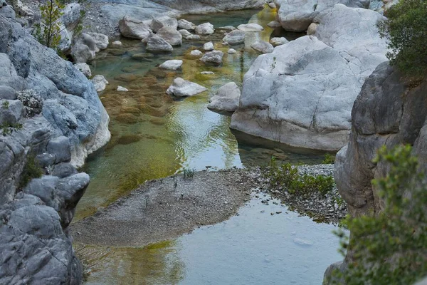 Relict Parque Nacional Lago Montanha Ritsa Abcásia — Fotografia de Stock