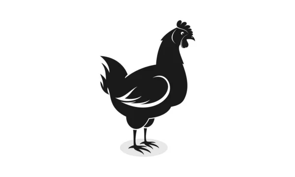 Hen Κοτόπουλο Εικονογράφηση Διάνυσμα Σχεδιασμό — Διανυσματικό Αρχείο