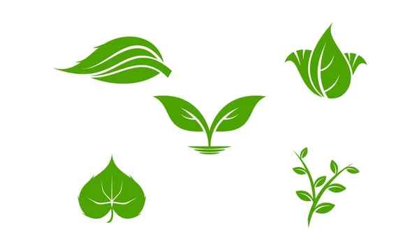 Natura Roślina Liść Zestaw Ilustracja Wektor Logo — Wektor stockowy