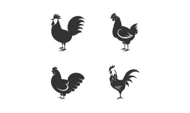 Rooster and hen illustration vector design