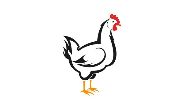 Απλό Κοτόπουλο Κοτόπουλο Εικονογράφηση Διάνυσμα Σχεδιασμό — Διανυσματικό Αρχείο