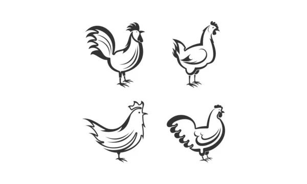 Κοτόπουλο Σύνολο Απλή Απεικόνιση Διανυσματικό Σχεδιασμό — Διανυσματικό Αρχείο