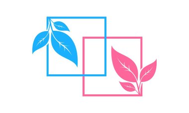 Beautiful leaf in frame vector design