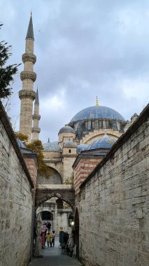 Power line with wires on a wooden supportne in the field. High quality photo