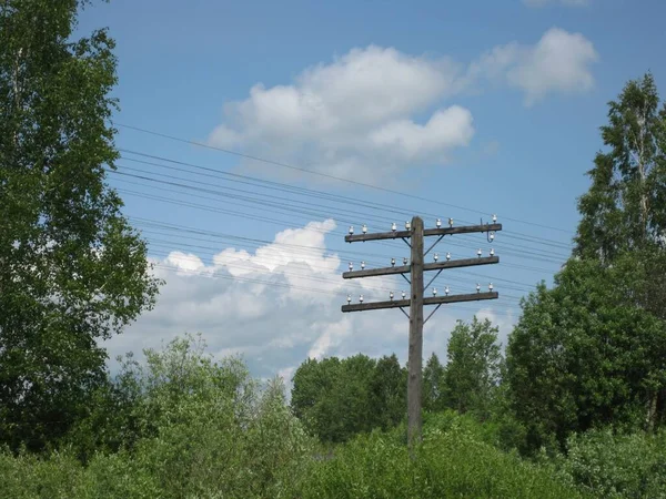 Power line with wires on a wooden supportne in the field. High quality photo