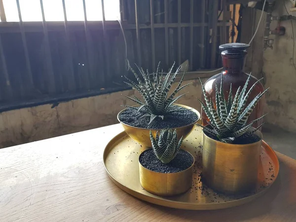 Sofrada sulu yemekler ve dekoratif bir şişe.