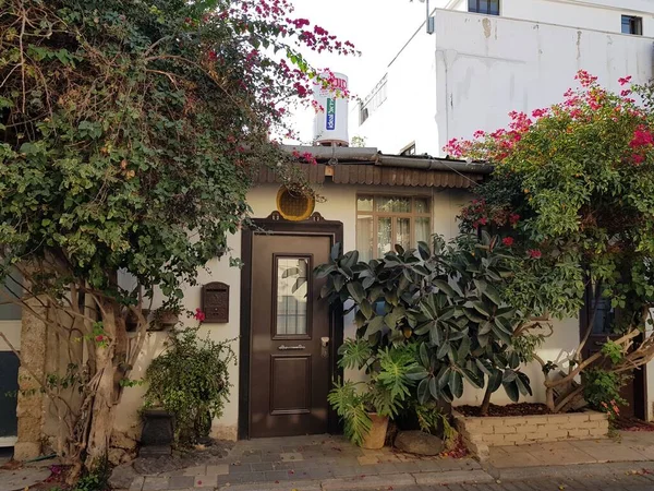 Evin girişinin önünde bitkilerle süslenmiş bir avlu.