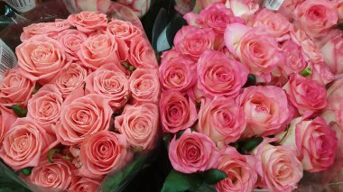 Bir buket pembe tomurcuklu gül.. 