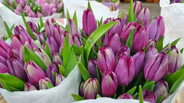 bir buket Pembe Laleler.