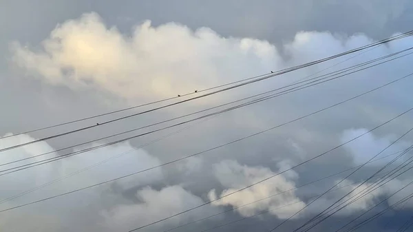 Ptaki Siedzą Drutach Pod Burzliwym Niebem — Zdjęcie stockowe
