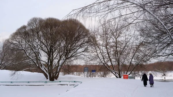 Kadınlar çıplak ağaçlarla bir kış sokağı boyunca yürür..