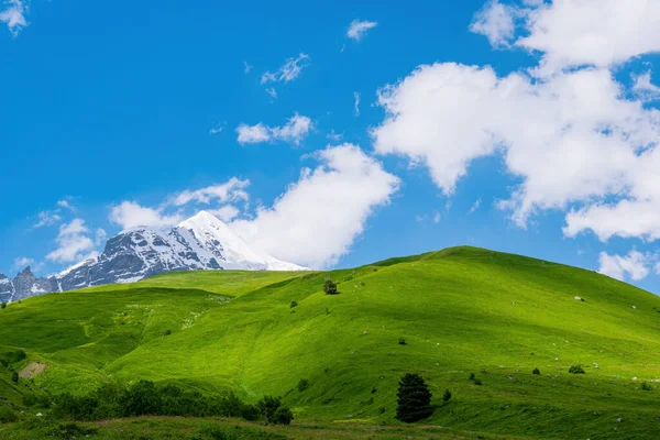 Paisagem Idílica Com Céu Azul Prados Verdes Frescos Topo Montanha — Fotografia de Stock