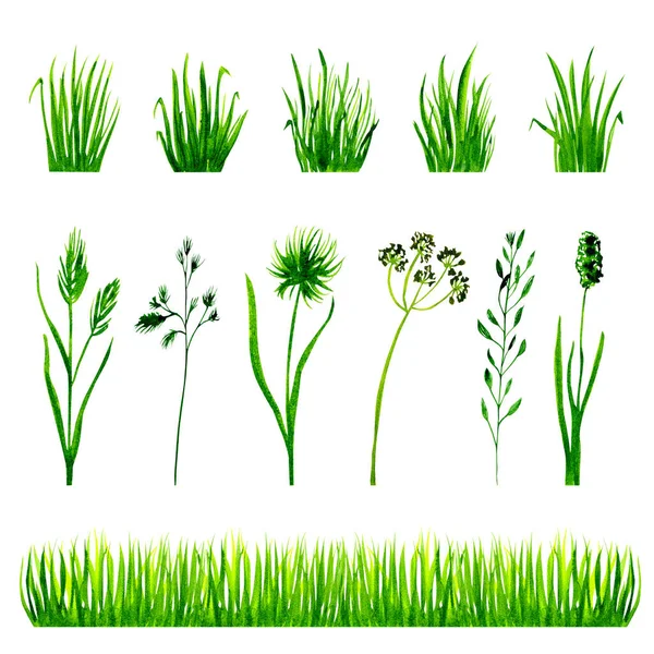 Aquarell Grünes Gras Isoliert Auf Weißem Hintergrund — Stockfoto