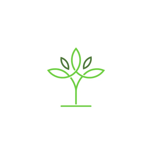 Cbd Cannabis Marijuana Pot Hemp Leaf Line Art Style Logo — Stockvektor