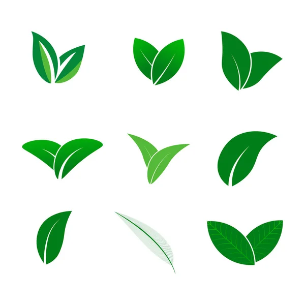 Green Abstract Leaf Icons Natural Set White Background — Stock Vector