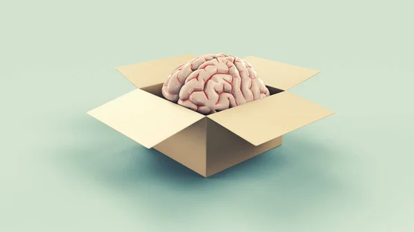 Ανθρώπινο Μυαλό Μέσα Ένα Κουτί Σκεφτείτε Έξω Από Κουτί Και — Φωτογραφία Αρχείου