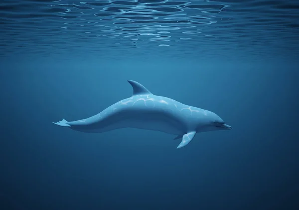 Dolphin Swims Underwater Render Illustration — Stock Photo, Image