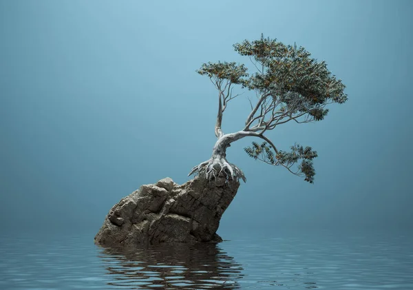 Δέντρο Στην Κορυφή Ενός Βράχου Στο Νερό Και Μπλε Φόντο — Φωτογραφία Αρχείου