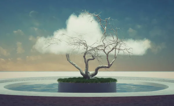 有云彩的现代平台上的树 这是一个3D渲染说明 — 图库照片