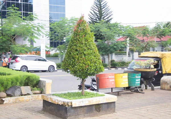 Rumput Hijau Kecil Dengan Banyak Pohon Dan Tong Sampah Besar — Stok Foto