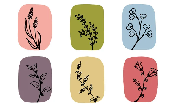 Una Raccolta Fiori Decorativi Disegnati Con Linee Nere Posti Colorati — Foto Stock