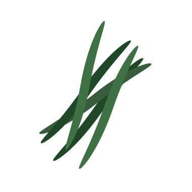 Yeşiller soğan baharatları yiyecek taşıyıcı nesne izole.