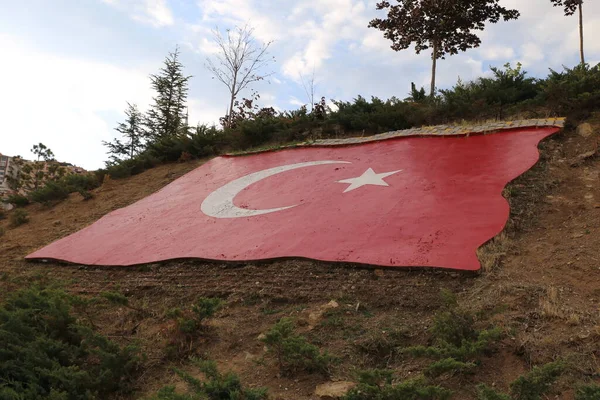 Парк Цветок Природы Растение Открытый Турецкий Флаг — стоковое фото
