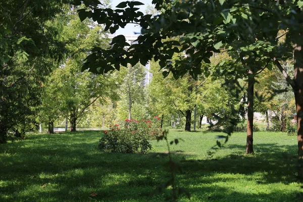 Turkije Ankara Esertepe Vallei Park Uitzicht Stad Trkiye Ankara Esertepe — Stockfoto