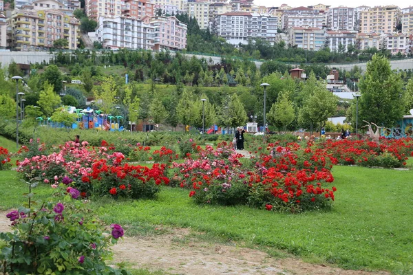 Turquie Ankara Esertepe Valley Park Vue Sur Ville Trkiye Ankara — Photo
