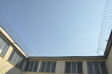 Ağaç arkaplan manzara parkı tutsağı