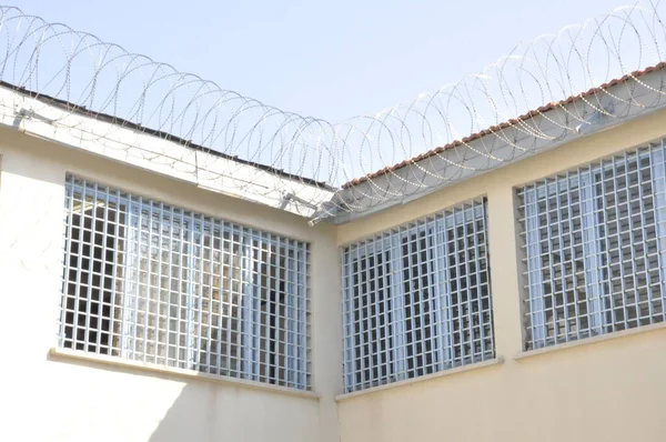 Ağaç arkaplan manzara parkı tutsağı