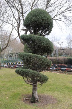 Park, Ağaçlar, Doğa & Arkaplan