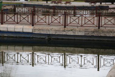 Park Peyzajı Doğa Su Ağaçları