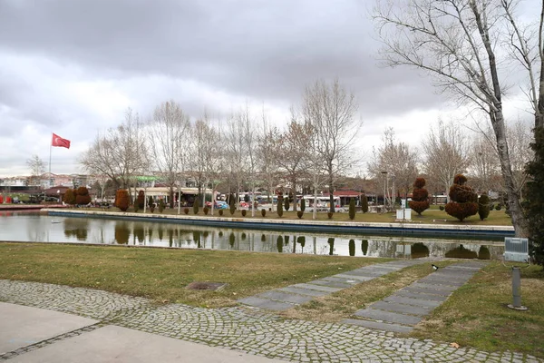 Parque Paisagem Natureza Árvores Água — Fotografia de Stock