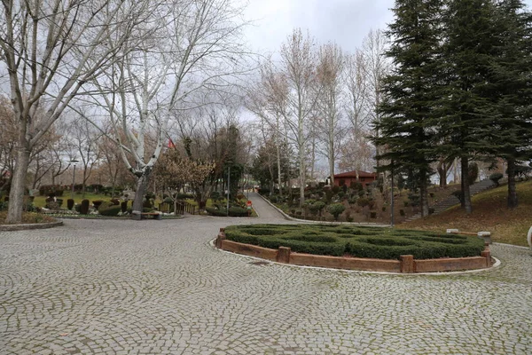 Park Bäume Natur Hintergrund — Stockfoto